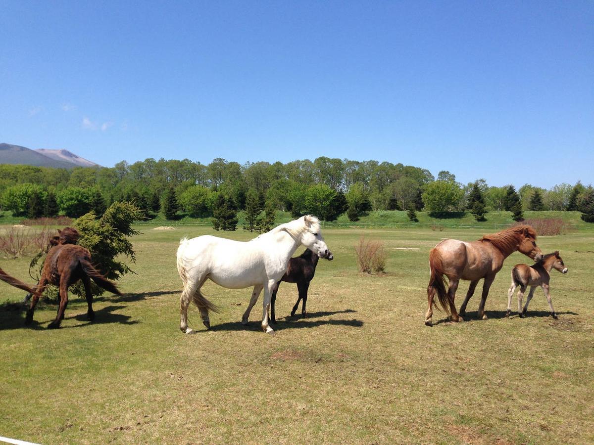 Paard Musee Guest House 七飯町 エクステリア 写真
