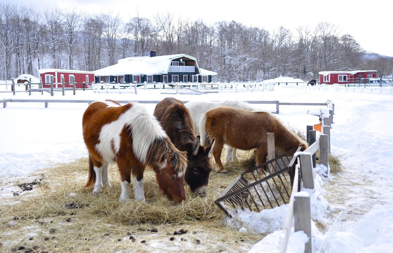 Paard Musee Guest House 七飯町 エクステリア 写真